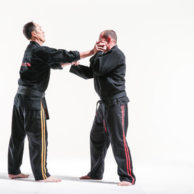 Jujitsu 8 — figure reference